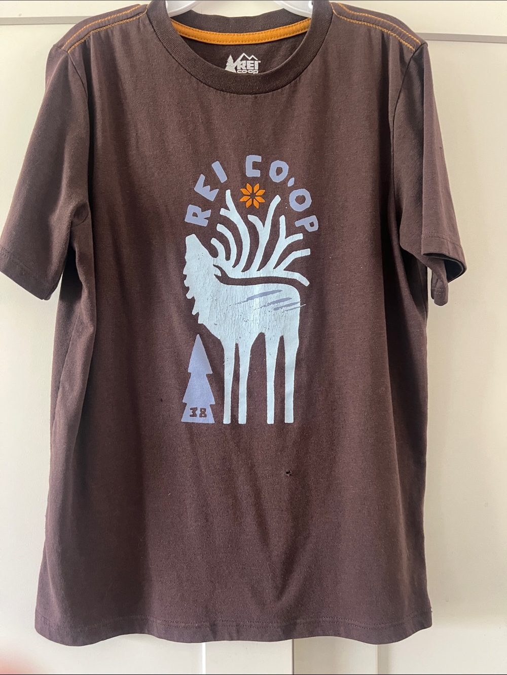 REI Kids' Brown Graphic Short Sleeve Tee (small hole)
